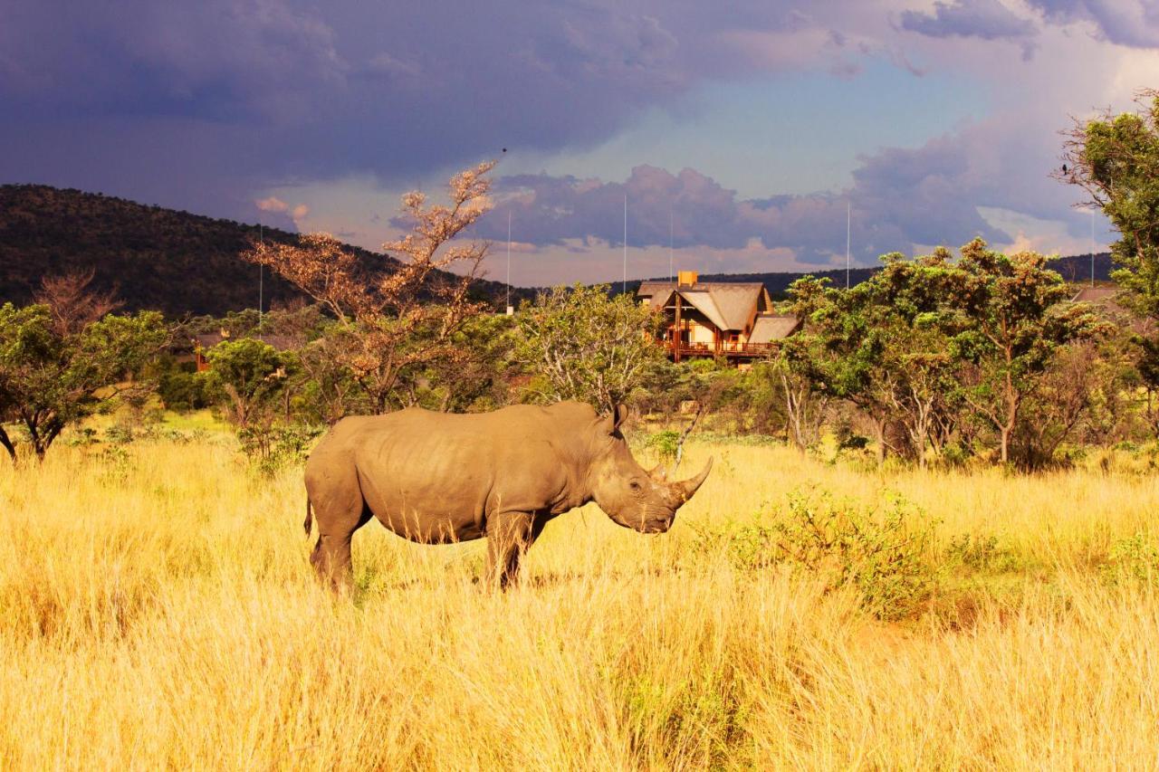 Kololo Game Reserve Welgevonden Game Reserve Exterior photo