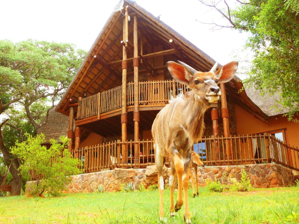 Kololo Game Reserve Welgevonden Game Reserve Exterior photo