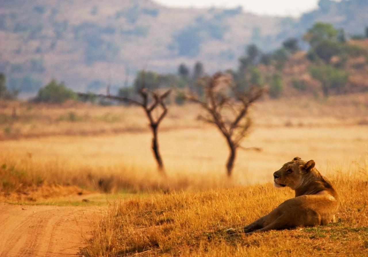 Kololo Game Reserve Welgevonden Game Reserve Exterior photo